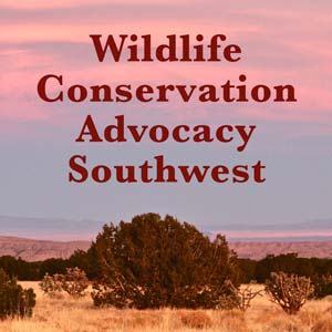 Wildlife Conservation Advocacy Southwest