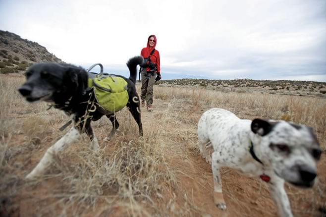 Trap victim calls for removal of leg-hold traps on public lands