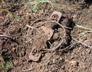 Steel-jaw trap found on Rowe Mesa