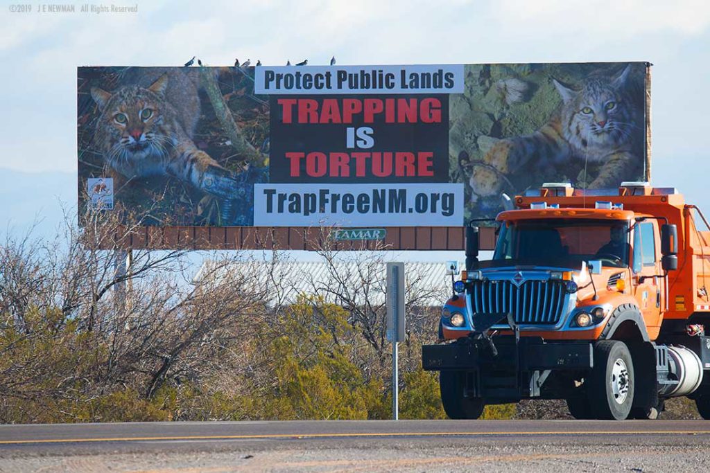 TrapFree New Mexico billboards in Albuquerque and Las Cruces TrapFree