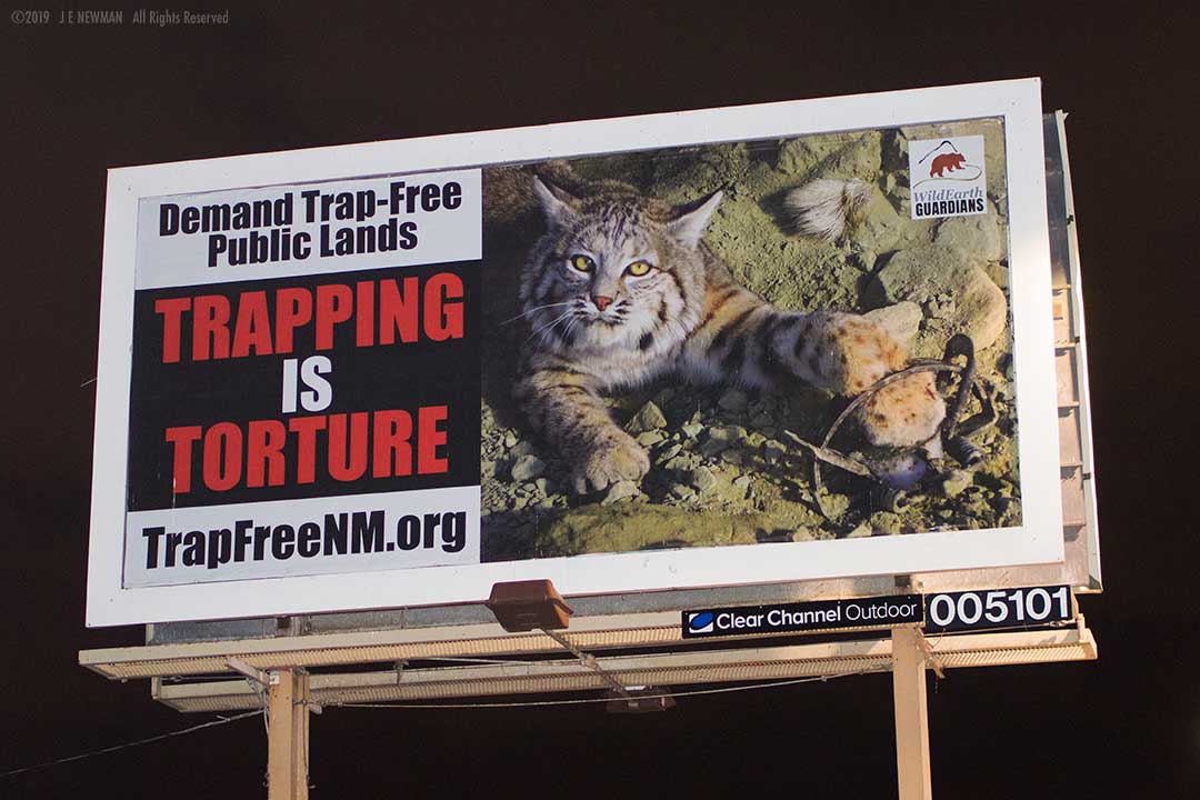 Trapping is Torture - Ban traps on public lands