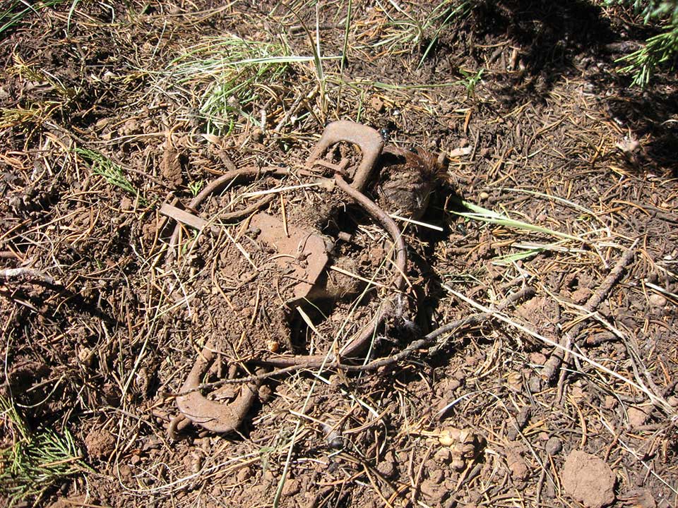 Steel trap, Rowe Mesa