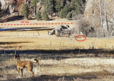 Trap Incident Report: Jemez National Recreation Area – November 26, 2020