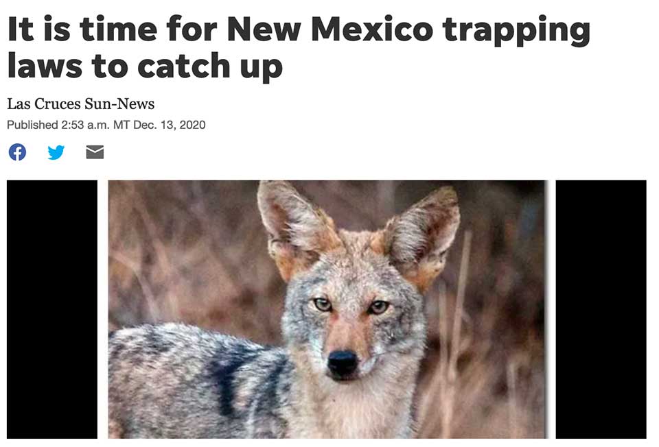 Las Cruces Sun-News: It is time for New Mexico trapping laws to catch up