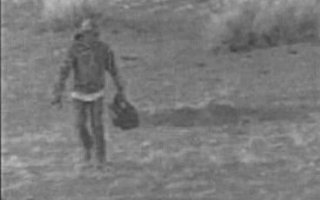 Federal agents search Datil properties in case of Mexican wolf kills